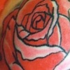 Melodys Rose 1/2 sleeve