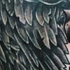 Chris' Massive Wings