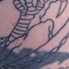 Dragon Outline 3