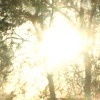 Daytime Star