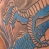 Dragon color 3