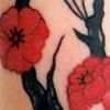 Cherry Blossums 1