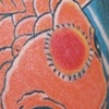 Koi