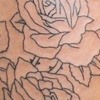Roses and Devil girl