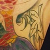 Dragon Koi cover up color