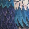 Peacock Color 2