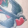 Roses with Swallow Bird