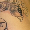 Peacock Shading 2