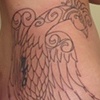 Peacock Outline 2
