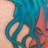 jellyfish 1