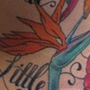 Birds of Paradise 1
