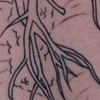 Skulls & Heart outline