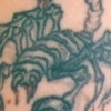 Scorpion 1