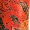 Phoenix Arm 2
