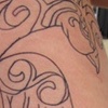 Peacock Outline 1