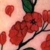 Cherry Blossums 3