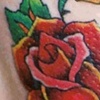 Roses