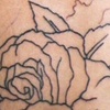 Roses and Devil girl