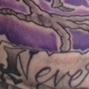 Nevermore-Poe Raven