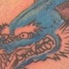 Dragon Color 1