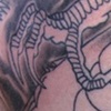 Dragon Shading 3