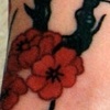 Cherry Blossums 2