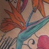 Birds of Paradise 2
