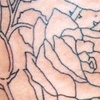 Roses and Devil girl