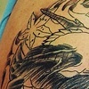 Dragon-Koi cover up During