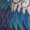 Peacock Color 1