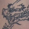 Dragon Outline 1