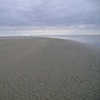 From the Estuary