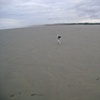 Seaside, February