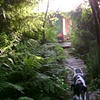 Lakehouse July 2008