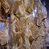Detail of  artwork by Rebecca Cross