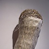 Sculpture by Samantha Brown