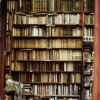 Libreria II