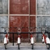 Bicis