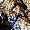 Casa Batll&oacute;