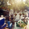 Cemetary, Cuernavaca