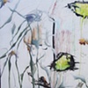 Allegories of Entropy II