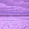 Winter 1