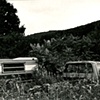 Reclamation, #2