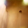 Water 1