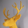 Yellow Stag