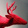 Red Buck