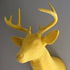 Yellow antlered buck