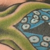 Squid