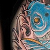 Koi Cover-Up