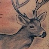 The Deer Hunter